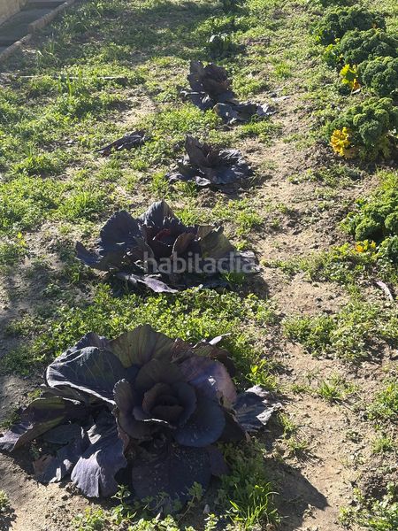 Foto d9458562-4f47-4552-a39f-72c418fdc77f. Xalet amb xemeneia calefacció aparcament piscina a Torrelles de Foix