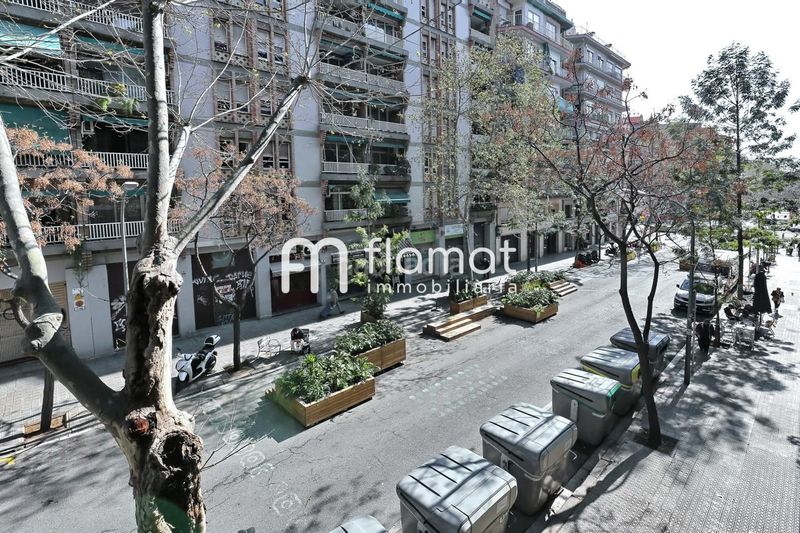 Foto 7d434efc-f103-4646-b9bb-ac371d963045. Pis a Navas Barcelona