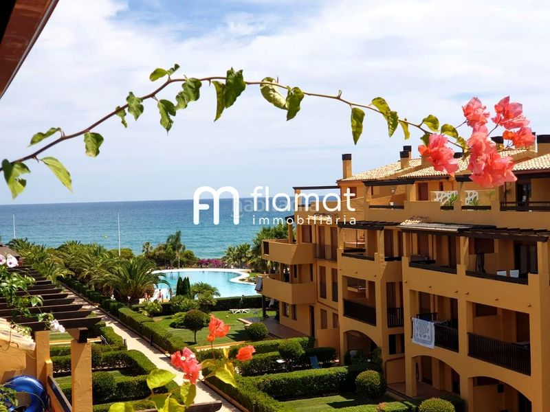 Foto d92cf8ff-62c5-41b7-8eda-7b76f7a7489e. Planta baixa amb aparcament piscina a Alcossebre