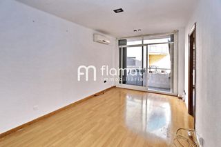 Pis  De la ciutadella