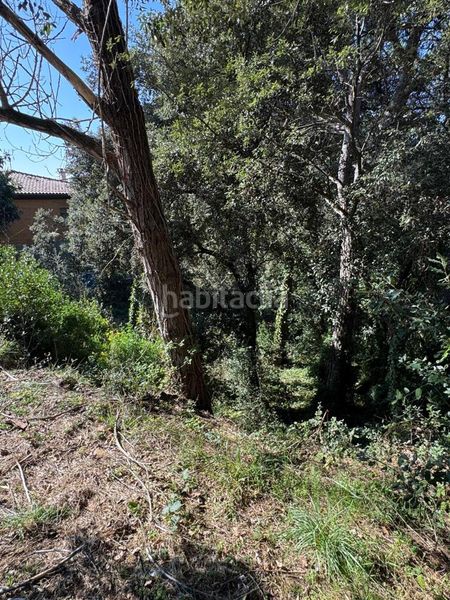 Foto 5241f1cf-70da-4552-a550-36783ae83599. Terreny residencial a Cànoves i Samalús