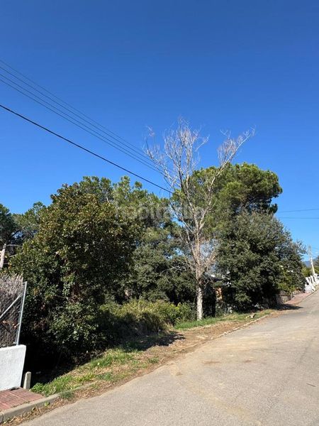 Foto 7f6d4a3e-6960-4a24-be41-2b98522e7338. Terreny residencial a Cànoves i Samalús