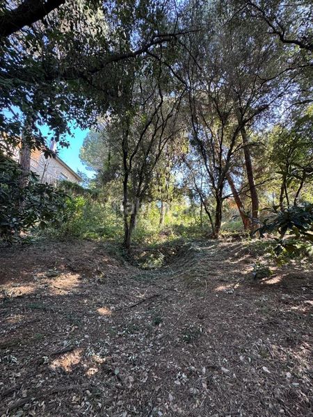 Foto cd1e5a7e-9fcb-42d6-9f4a-d82993592a7f. Terreny residencial a Cànoves i Samalús