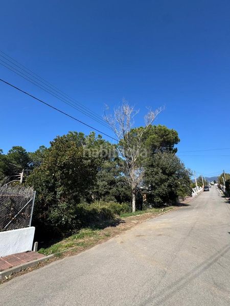 Foto d210281f-0c61-4079-b1b8-65dd704a2517. Terreny residencial a Cànoves i Samalús