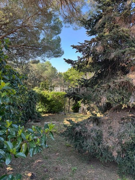 Foto d501143f-a15c-4ff9-9bf6-f393d57ed97e. Terreny residencial a Cànoves i Samalús