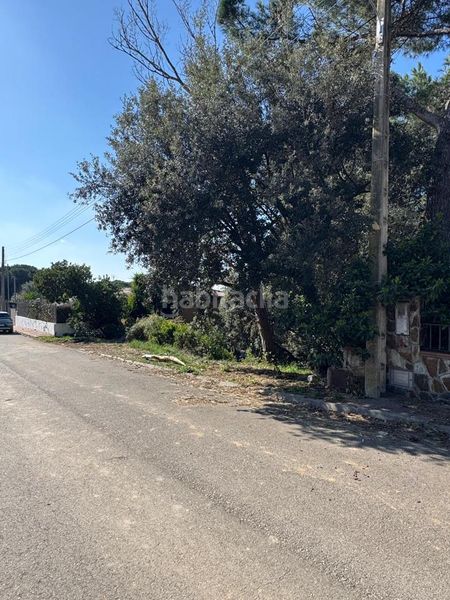 Foto fe8397ee-0666-44d0-b007-b780efc855b3. Terreny residencial a Cànoves i Samalús