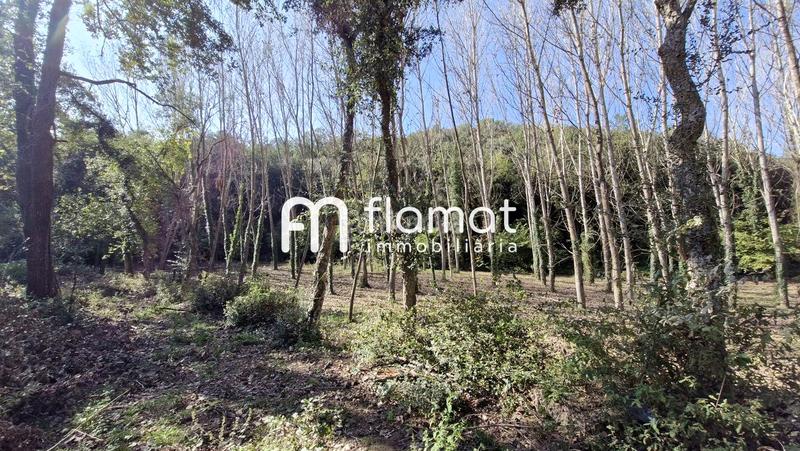 Foto af47b8cb-182b-48bd-b70d-117615f7a43e. Country house with parking pool in Sant Feliu de Buixalleu