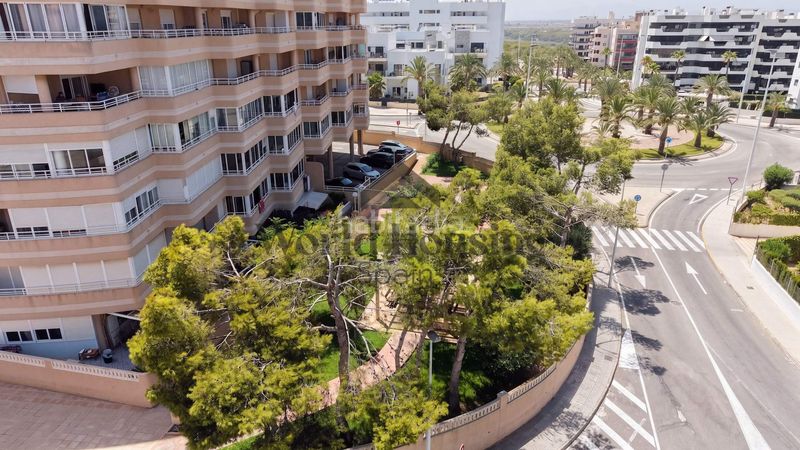 Foto b3a8d2c7-7eb3-4ba4-b5e4-5a36cabd36cb. Apartament amb aparcament piscina a Los Arenales del Sol Elche / Elx