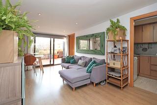 Attique à Hostafrancs