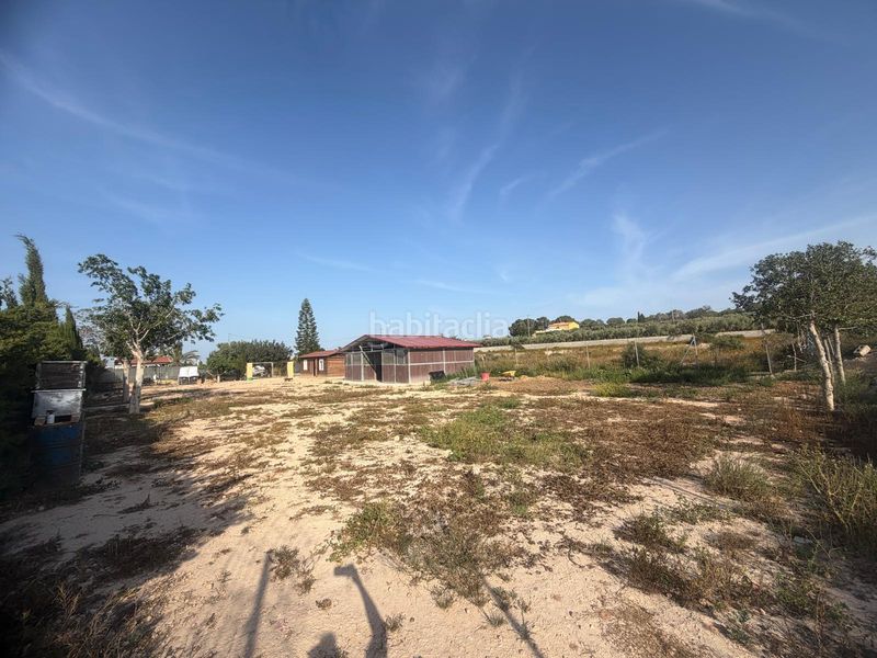 Foto 7c07a975-592a-494d-b78a-c37371c8b8da. Casa amb aparcament piscina a La Marina Elche / Elx