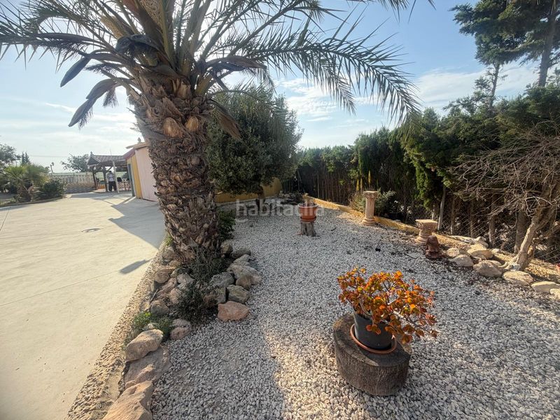 Foto 971e6702-44d3-4ee6-bd8e-fcd7f0e0e41e. Casa amb aparcament piscina a La Marina Elche / Elx