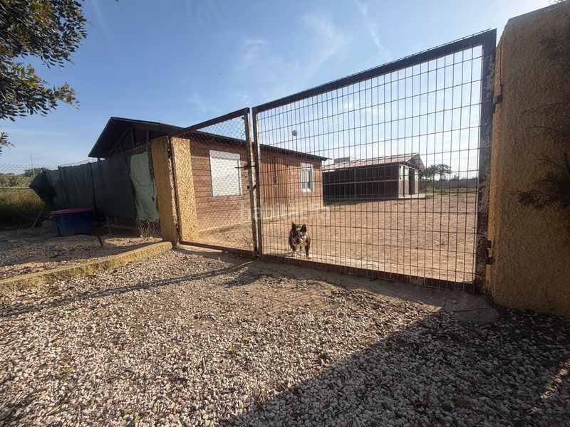 Foto fbd81dd5-4296-4edf-be85-86f497e1299d. Casa amb aparcament piscina a La Marina Elche / Elx