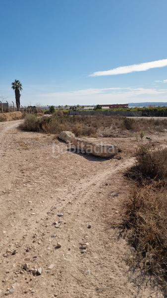 Foto 76f3e1c4-99ec-4fb3-bfcd-0bea2cec99b6. Fondo rustico in Rojales