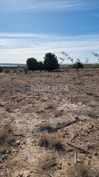 Foto ccf0c8e9-59c3-4a53-9188-05bc83bbcc25. Fondo rustico in Rojales