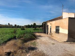 Casa a Catral. Finca rústica para reformar en catral (alicante)