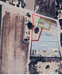 Masia a Catral. Parcela con vivienda y dos naves