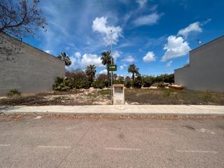 Terreny residencial a Dolores. Solar urbano en zona nueva de dolores: construye la casa que sie