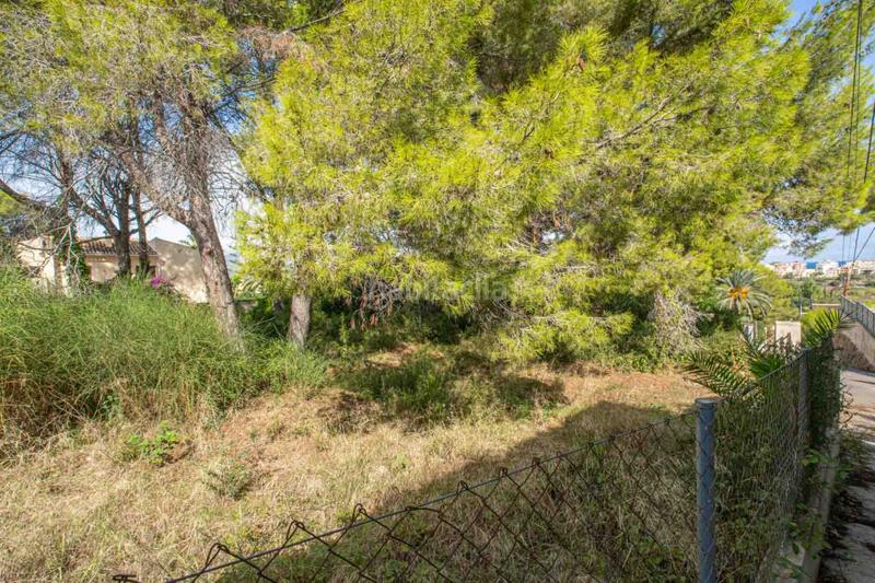 Foto 3c1a3532-b837-4575-a69e-4fd53781689f. Terreno residencial en Centro Ciudad Xàbia