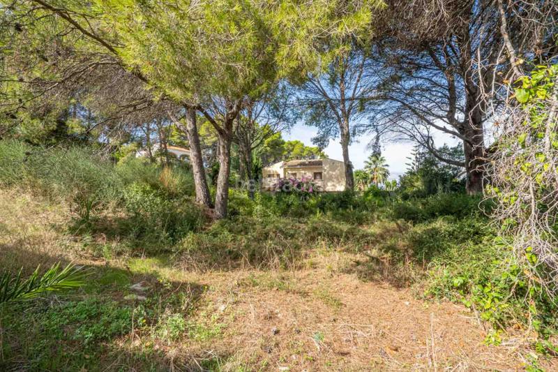 Foto e48a200c-67a1-4c58-b00f-40aefa71564f. Terreno residenziale in Centro Ciudad Xàbia