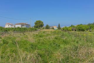 Terreny residencial a Poblets (els)