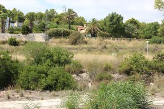 Residential Plot in Casco Urbano