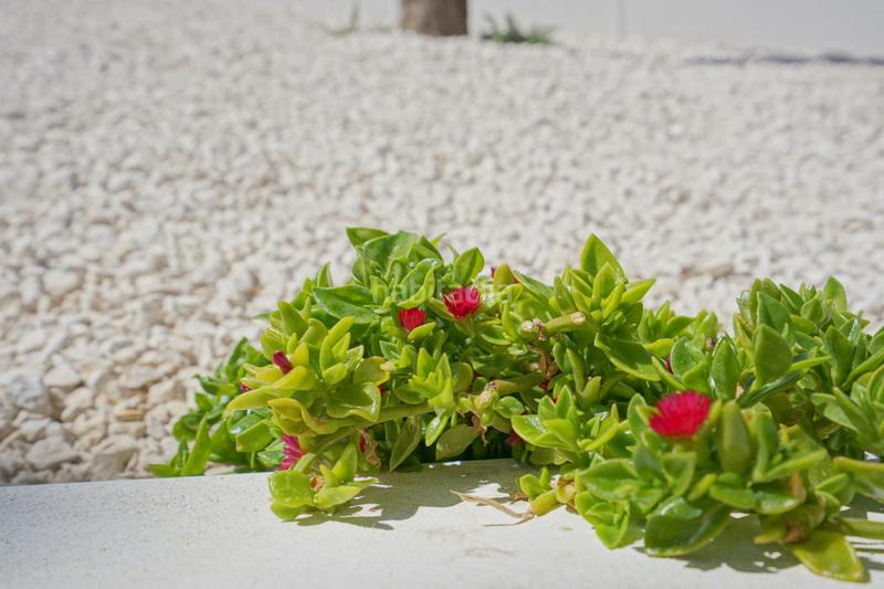 Foto c3434e0e-cb2e-4c91-a22f-def052fd83eb. Casa amb aparcament a Casco Urbano Moraira