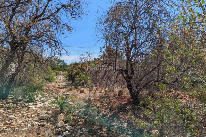 Foto d42658b0-2b41-405f-8d2f-7d3438e6680d. Wohngrundstück in Centro Urbano Dénia