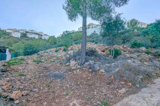Terreno residencial en Pego