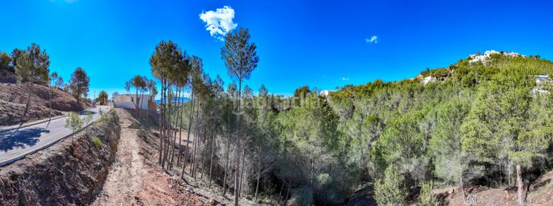 Foto cd576441-866e-4797-b1d9-081a5047b00a. Terreny residencial a Altea ciudad Altea