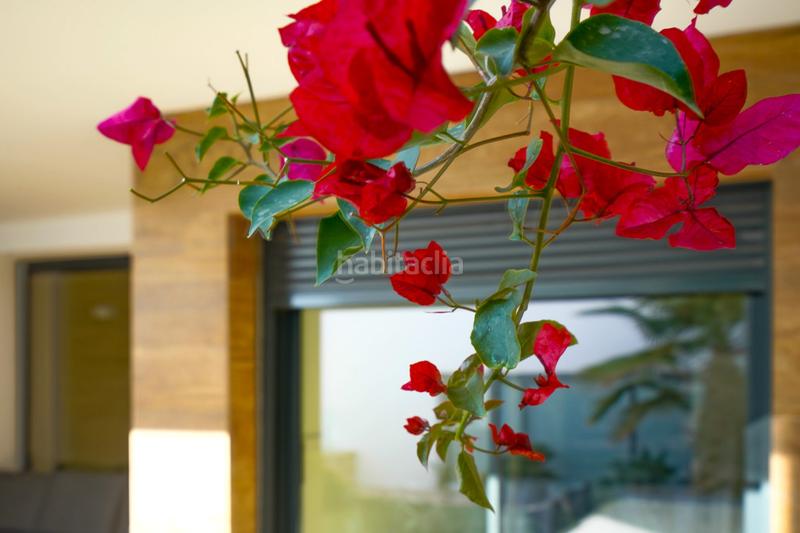 Foto c6623cfe-d7e9-412b-a618-502e6a6d21c3. Apartamento en Centro Poble Nou de Benitatxell (el)