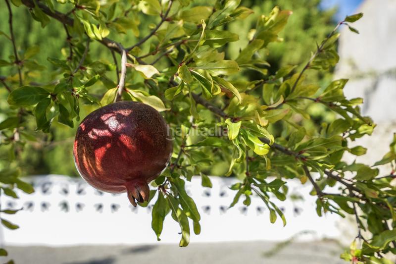 Foto 1073485c-8f1e-468a-9f84-c4463a530fd6. House with parking in Benissa pueblo Benissa