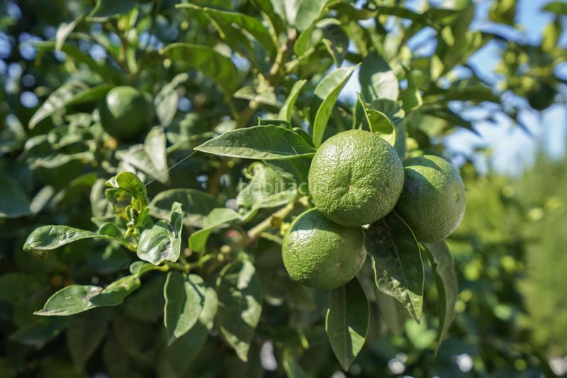 Foto a73e976b-36a9-43c5-99ef-aa37b7100064. Maison avec parking dans Benissa pueblo Benissa