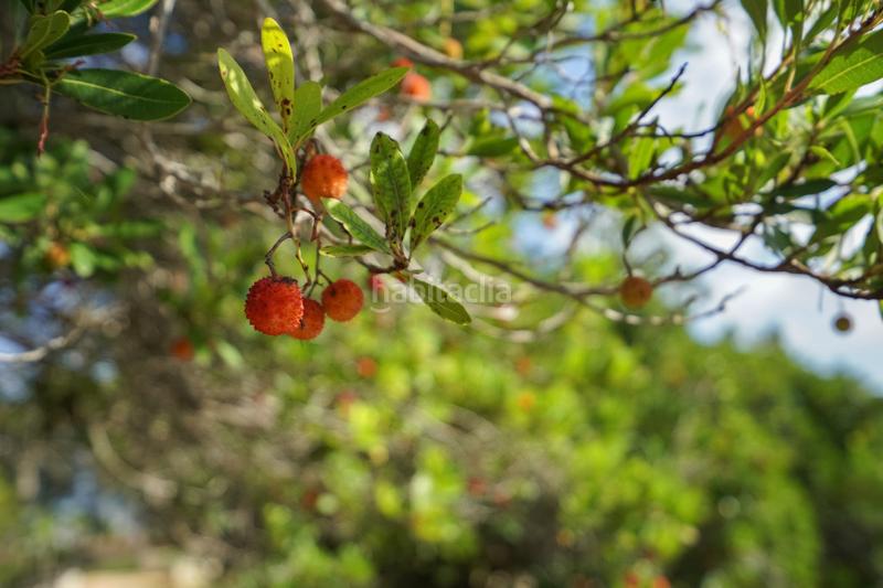 Foto a2915eb4-ca9e-4e2c-ba65-d8694f6768bb. Casa in Centro Ciudad Xàbia