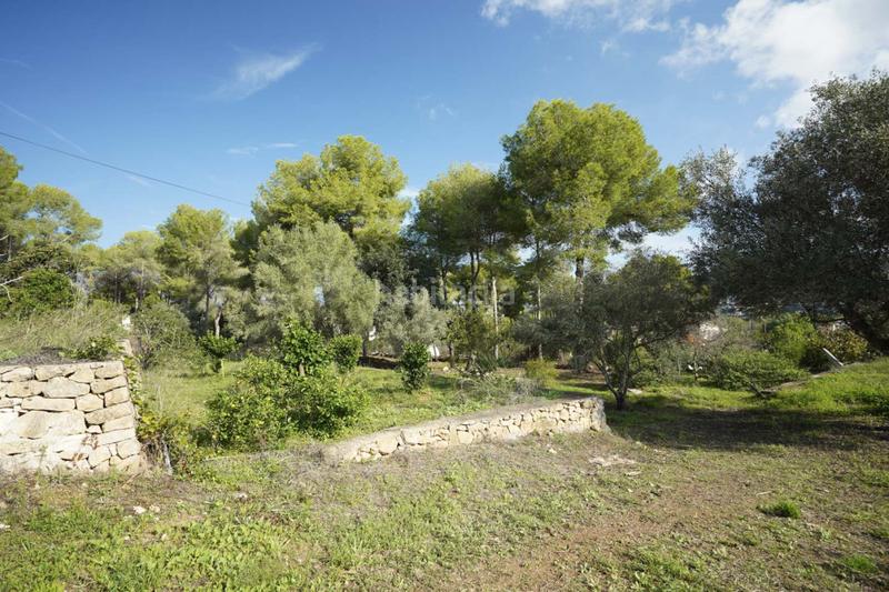 Foto 3bd353e8-49c1-4b60-8b4a-aece8bef6d02. Haus in Centro Ciudad Xàbia