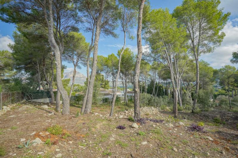 Foto d0f0e959-e036-4ba0-b147-7a371673c85c. Terreno residencial en Centro Ciudad Xàbia