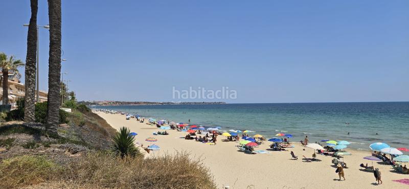 Foto 7a5cb475-fda9-40df-a666-a1fcdf01957b. Casa en Orihuela ciudad Orihuela