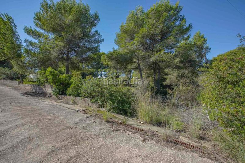 Foto 185346c7-0d93-474c-b4a8-ac212cd00844. Terreny residencial a Centro Ciudad Xàbia