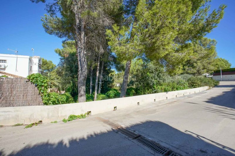 Foto 3ad929d8-a516-4e9d-ab36-18fa73335d1f. Terreny residencial a Centro Ciudad Xàbia