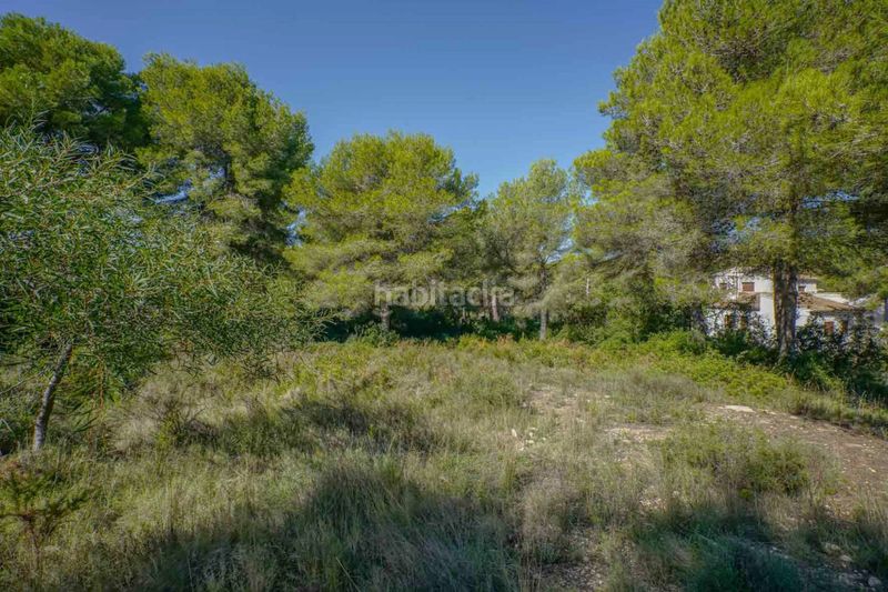 Foto b20fc21c-3fe9-475a-9427-af92937ba7a9. Terreny residencial a Centro Ciudad Xàbia
