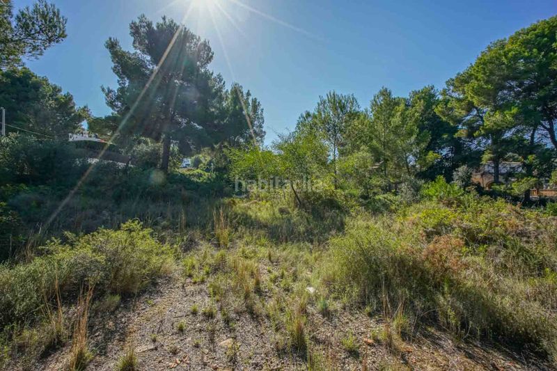 Foto f1fec48d-4438-4f8d-8799-f9a473c55665. Terreny residencial a Centro Ciudad Xàbia