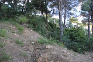 Terreno residenziale in Centro Ciudad