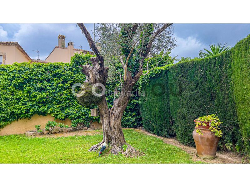 Foto 83a1a83a-1258-43f4-8876-32284827cce6. Casa amb calefacció aparcament a La Punxa Palafrugell