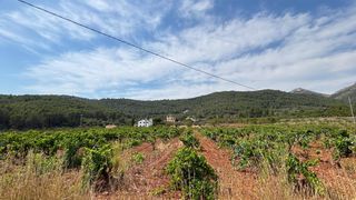 Chalet in Xaló. Un oasis mediterráneo de privacidad y naturaleza en el corazón d