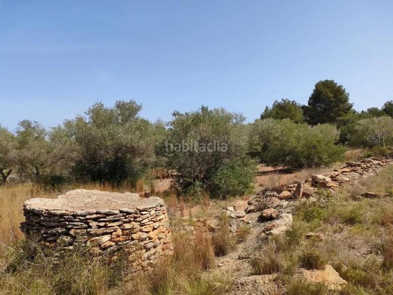 Foto 2dd5f12b-96d2-40f2-9f1f-0e422838f7d6. Finca rústica parcela rustica en Partidas de Interior - Zona Rústica Vinaròs