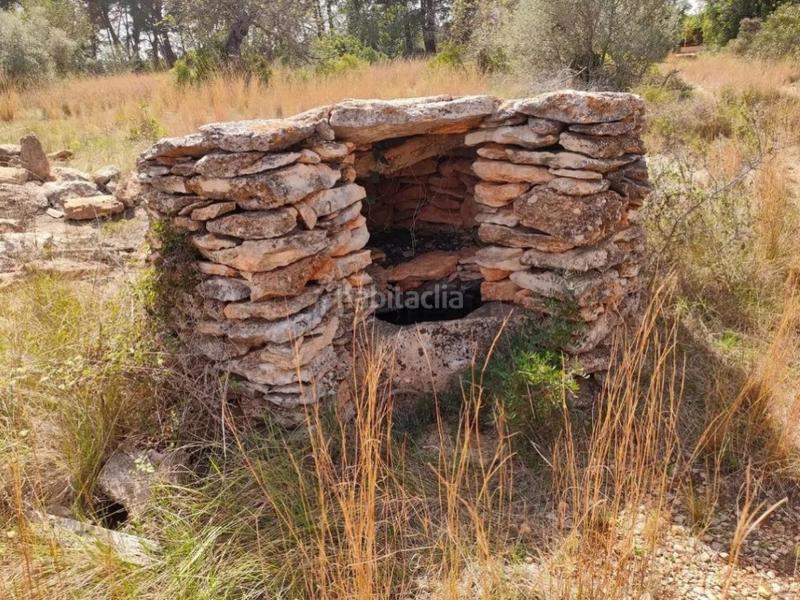 Foto b95d7be1-17e0-4b98-85ae-63e190191a1b. Finca rústica parcela rustica en Partidas de Interior - Zona Rústica Vinaròs