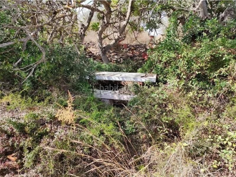 Foto e30c97f4-ac49-4f08-805c-3ff3947e5eb5. Finca rústica parcela rustica en Partidas de Interior - Zona Rústica Vinaròs