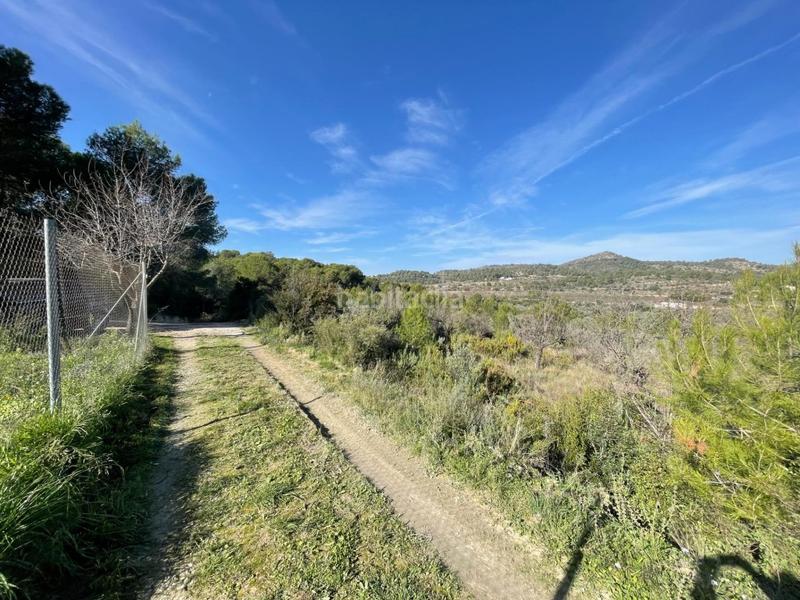 Foto 2d3c8c6b-e9d8-4fbd-ac9c-9f1dc4452bd8. Xalet amb aparcament piscina a Casinos