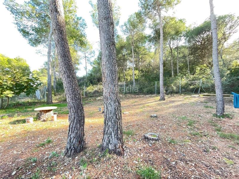 Foto 433122dc-2227-4068-a836-6ae69a188ad9. Xalet amb aparcament piscina a Casinos