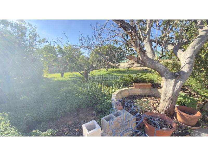 Foto b1d1fb89-9346-4ec2-a6d8-bbedca0bf349. Bauernhof in El Vedat - Santa Apolonia Torrent