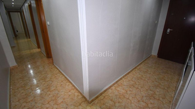 Foto 48a93dc6-895e-4323-8bf3-3a6fc942387f. Pis a Catarroja